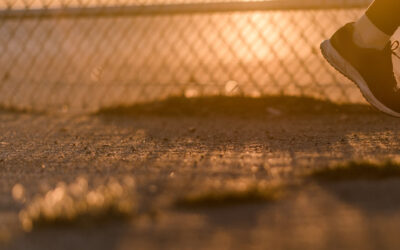 Rezultati izbora ponude za organizaciju višednevne izvanučioničke nastave br. poziva 1/2025.