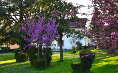 ZAKLJUČAK SJEDNICE ŠKOLSKOG ODBORA