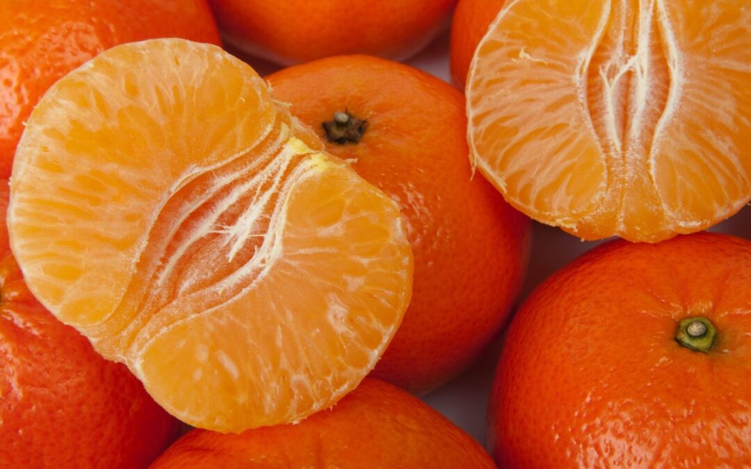 FoodEducators projektni dan 2025. – Zlatna mandarina